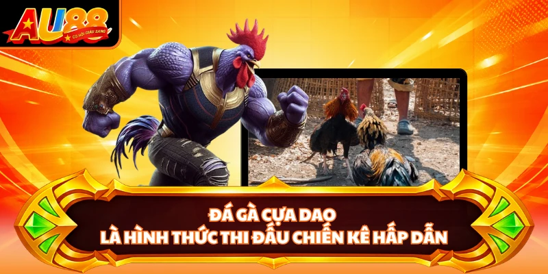 Đá gà cựa dao là hình thức thi đấu chiến kê hấp dẫn